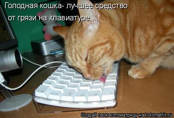 Котоматрица: Голодная кошка- лучшее средство от грязи на клавиатуре.....