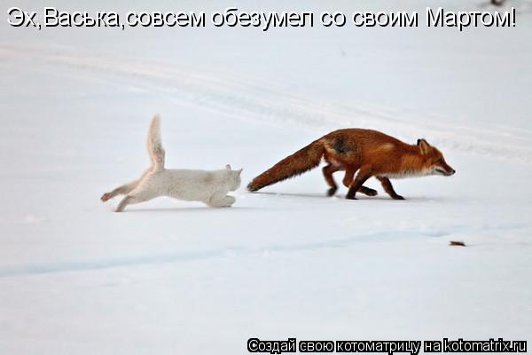 Котоматрица: Эх,Васька,совсем обезумел со своим Мартом!