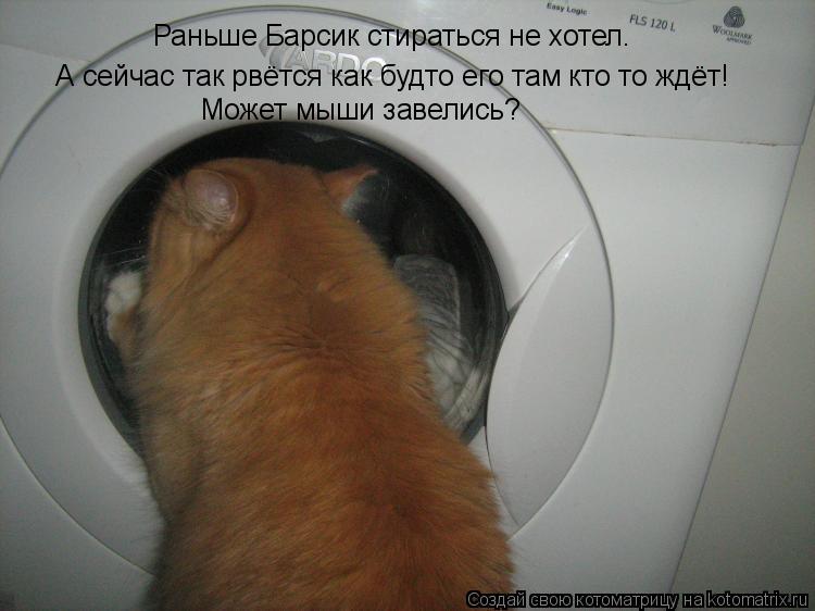 Котоматрица: Раньше Барсик стираться не хотел.   А сейчас так рвётся как будто его там кто то ждёт! Может мыши завелись?