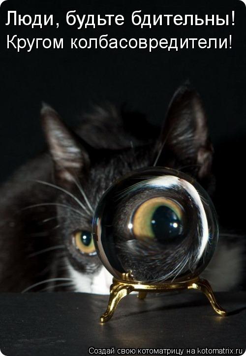 Котоматрица: Люди, будьте бдительны! Кругом колбасовредители!