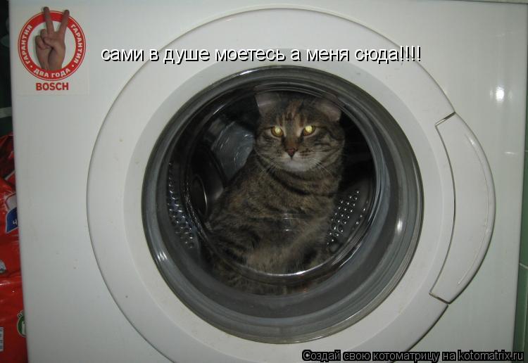 Котоматрица: сами в душе моетесь а меня сюда!!!!