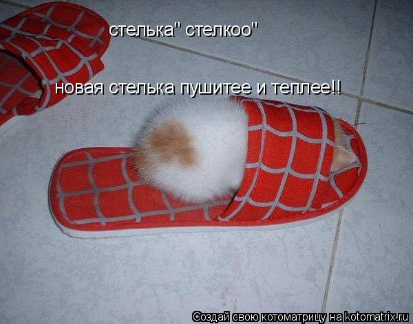 Котоматрица: новая стелька пушитее и теплее!! стелька" стелкоо"