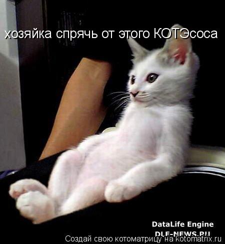 Котоматрица: хозяйка спрячь от этого КОТЭсоса