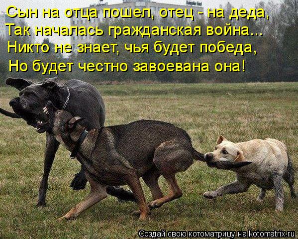 Котоматрица: Сын на отца пошел, отец - на деда, Так началась гражданская война... Никто не знает, чья будет победа, Но будет честно завоевана она!