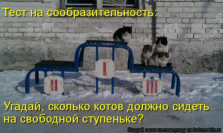 Котоматрица: Тест на сообразительность: Угадай, сколько котов должно сидеть  на свободной ступеньке?