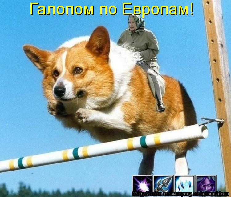 Котоматрица: Галопом по Европам!