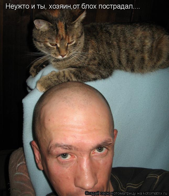 Котоматрица: Неужто и ты, хозяин,от блох пострадал....