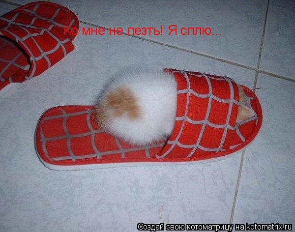 Котоматрица: Ко мне не лезть! Я сплю...