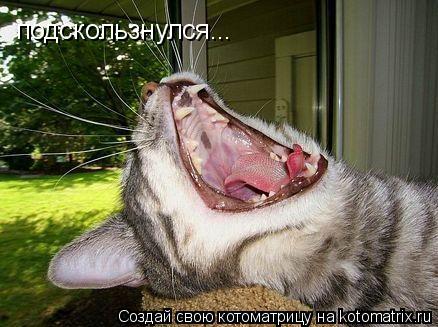 Котоматрица: подскользнулся...