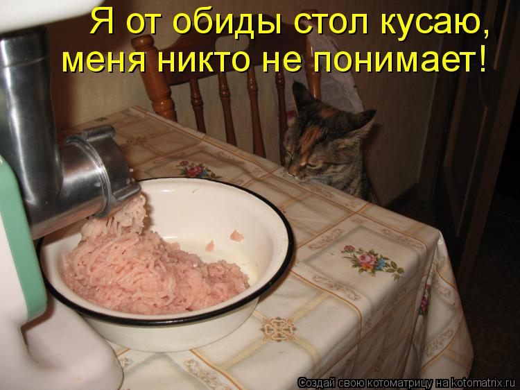 Котоматрица: Я от обиды стол кусаю, меня никто не понимает!