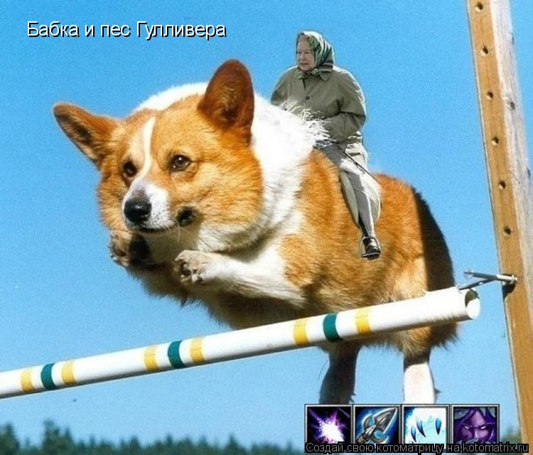 Котоматрица: Бабка и пес Гулливера