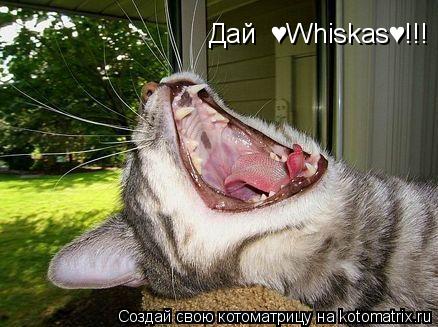 Котоматрица: Дай  &#9829;Whiskas&#9829;!!!