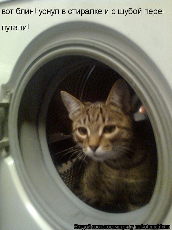 Котоматрица: вот блин! уснул в стиралке и с шубой пере- вот блин! уснул в стиралке и с шубой пере- путали!