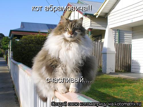 Котоматрица: кот абрамовича!! счасливый....