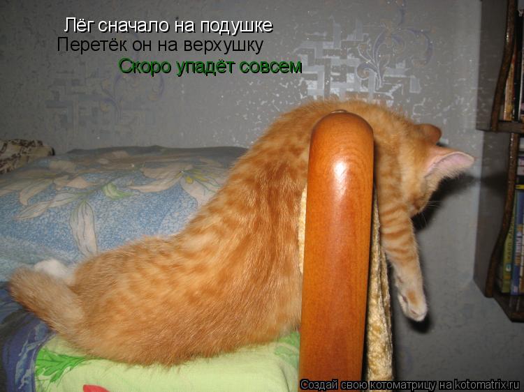 Котоматрица: Лёг сначало на подушке Перетёк он на верхушку Скоро упадёт совсем