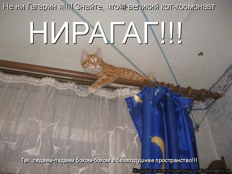 Не ни Гагарин я!!!! Знайте, что я великий кот-космонавт НИРАГАГ!!! Так, падаем-падаем боком-боком в ... Котоматрица: Не ни Гагарин я!!!! Знайте, что я великий кот-космонавт НИРАГАГ!!! Так, падаем-падаем боком-боком в безвоздушнае пространство!!!