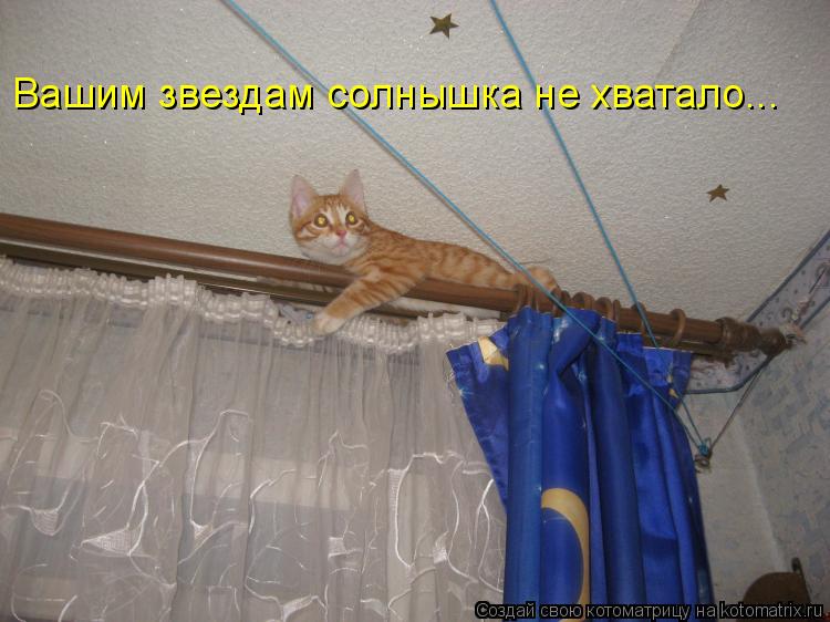 Котоматрица: Вашим звездам солнышка не хватало...