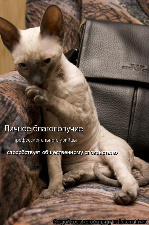 Котоматрица: Личное благополучие  профессионального убийцы  способствует общественному спокойствию