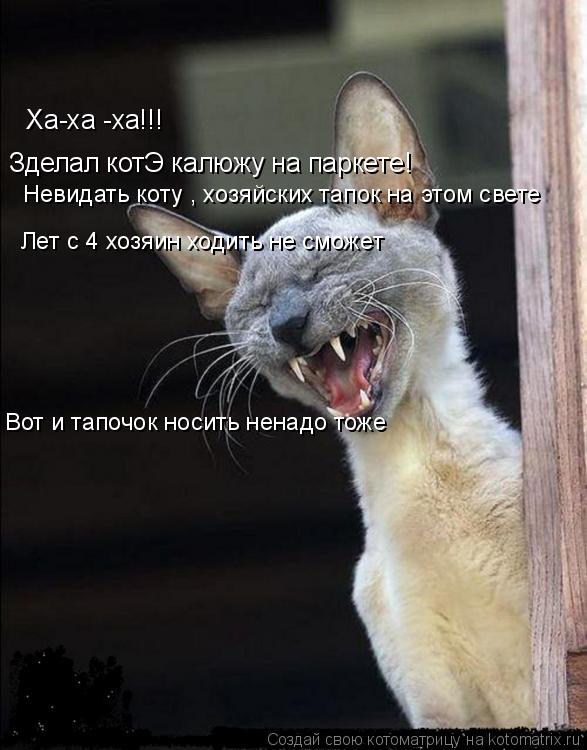 Ха-ха -ха!!! Зделал котЭ калюжу на паркете! Невидать коту , хозяйских тапок на этом свете Лет с 4 хоз... Котоматрица: Ха-ха -ха!!! Зделал котЭ калюжу на паркете! Невидать коту , хозяйских тапок на этом свете Лет с 4 хозяин ходить не сможет Вот и тапочок носить н