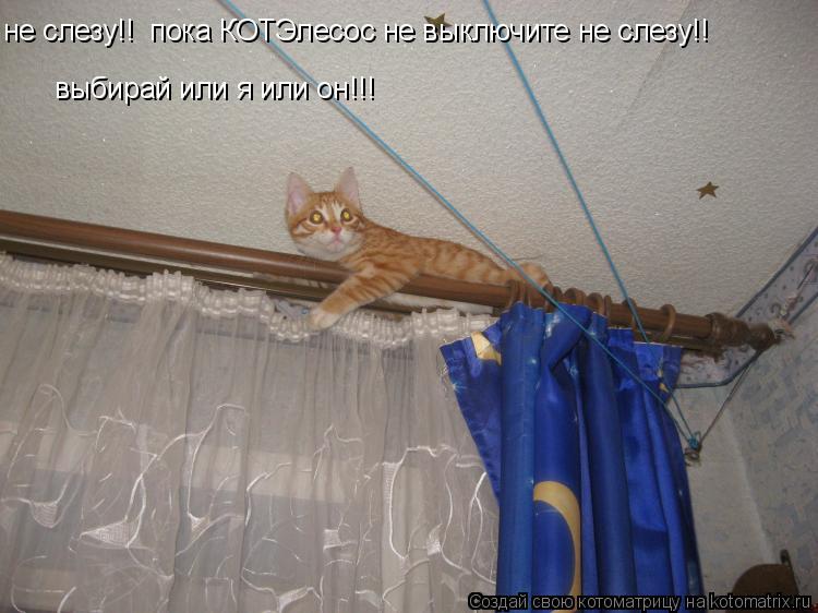 Котоматрица: не слезу!!  пока КОТЭлесос не выключите не слезу!! выбирай или я или он!!!