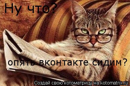 Котоматрица: опять вконтакте сидим? Ну что?