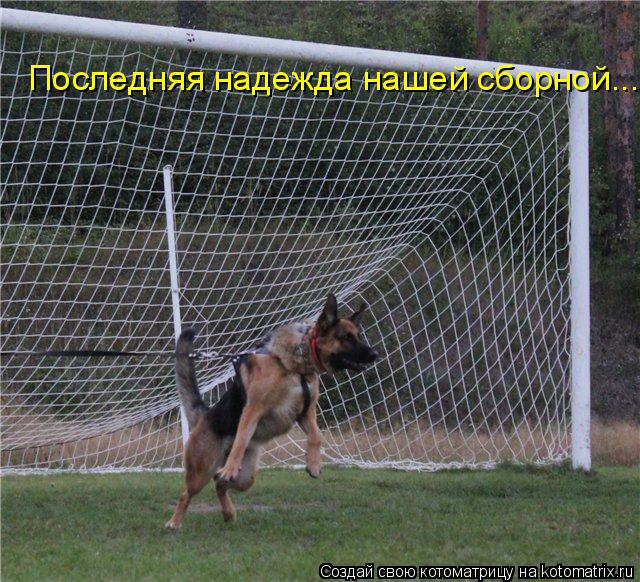 Последняя надежда нашей сборной...... Котоматрица: Последняя надежда нашей сборной...