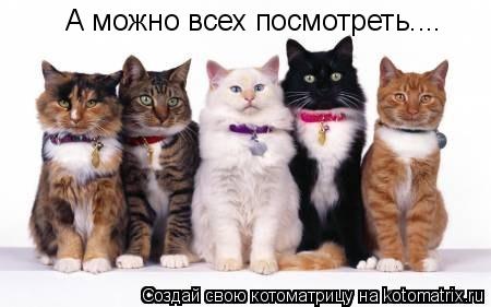 А можно всех посмотреть....... Котоматрица: А можно всех посмотреть....