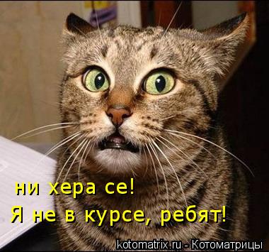 ни хера се! Я не в курсе, ребят!... Котоматрица: ни хера се! Я не в курсе, ребят!