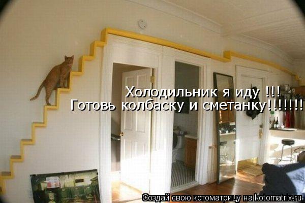 Холодильник я иду !!! Холодильник я иду !!! Готовь колбаску и сметанку!!!!!!!!!!!!!... Котоматрица: Холодильник я иду !!! Холодильник я иду !!! Готовь колбаску и сметанку!!!!!!!!!!!!!