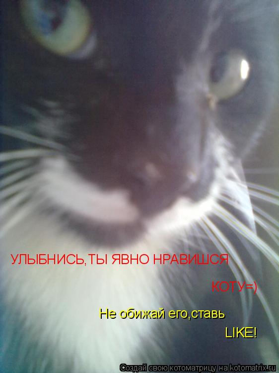 УЛЫБНИСЬ,ТЫ ЯВНО НРАВИШСЯ КОТУ=) Не обижай его,ставь LIKE!... Котоматрица: УЛЫБНИСЬ,ТЫ ЯВНО НРАВИШСЯ КОТУ=) Не обижай его,ставь LIKE!