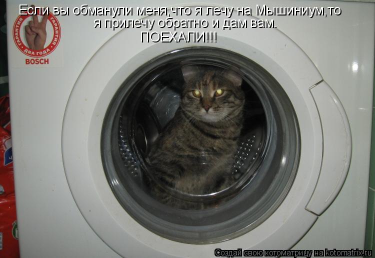 Если вы обманули меня,что я лечу на Мышиниум,то я прилечу обратно и дам вам. ПОЕХАЛИ!!!... Котоматрица: Если вы обманули меня,что я лечу на Мышиниум,то я прилечу обратно и дам вам. ПОЕХАЛИ!!!