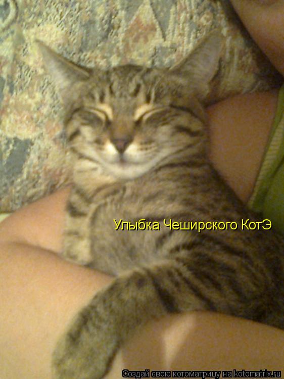 Улыбка Чеширского КотЭ... Котоматрица: Улыбка Чеширского КотЭ