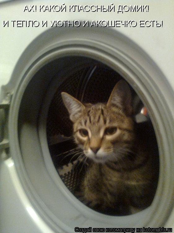 АХ! КАКОЙ КЛАССНЫЙ ДОМИК! И ТЕПЛО И УЮТНО И АКОШЕЧКО ЕСТЬ!... Котоматрица: АХ! КАКОЙ КЛАССНЫЙ ДОМИК! И ТЕПЛО И УЮТНО И АКОШЕЧКО ЕСТЬ!