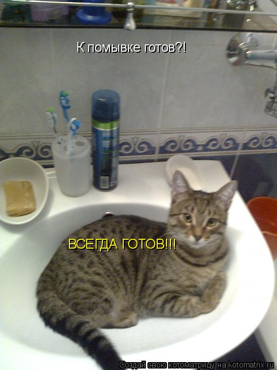 К помывке готов?! ВСЕГДА ГОТОВ!!!... Котоматрица: К помывке готов?! ВСЕГДА ГОТОВ!!!