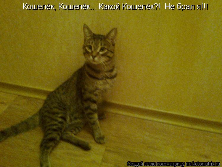 Кошелёк, Кошелёк... Какой Кошелёк?! Не брал я!!!... Котоматрица: Кошелёк, Кошелёк... Какой Кошелёк?! Не брал я!!!
