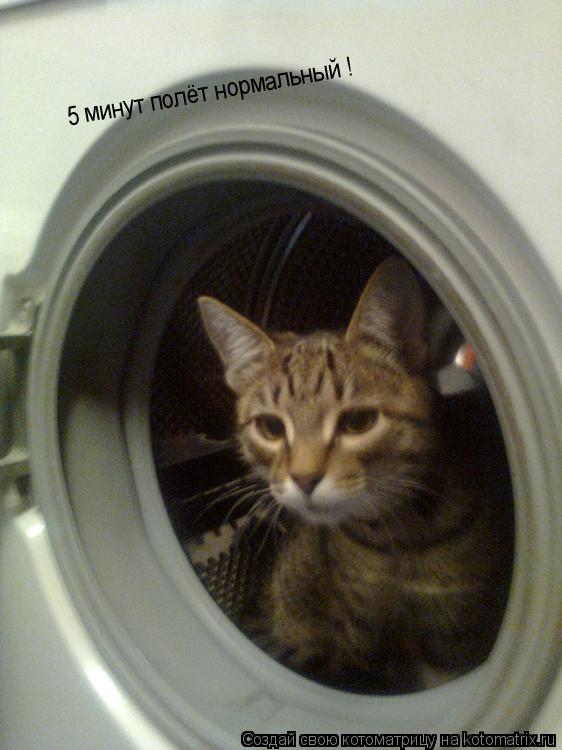 5 минут полёт нормальный !... Котоматрица: 5 минут полёт нормальный !