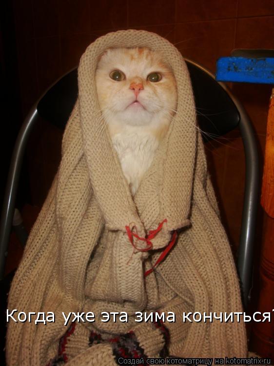 Когда уже эта зима кончиться??... Котоматрица: Когда уже эта зима кончиться??