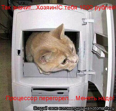 Так значит...Хозяин!С тебя 1000 рублей! Процессор перегорел....Менять надо!... Котоматрица: Так значит...Хозяин!С тебя 1000 рублей! Процессор перегорел....Менять надо!