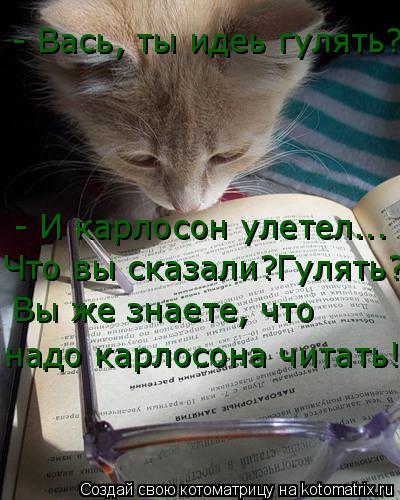 - Вась, ты идеь гулять? - И карлосон улетел... Что вы сказали?Гулять? Вы же знаете, что надо карлосон... Котоматрица: - Вась, ты идеь гулять? - И карлосон улетел... Что вы сказали?Гулять? Вы же знаете, что надо карлосона читать!