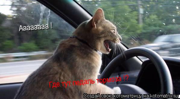 Аааааааа ! Где тут педаль тормоза !?... Котоматрица: Аааааааа ! Где тут педаль тормоза !?