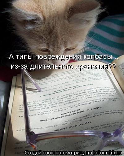 -А типы повреждения колбасы .. из-за длительного хранения??... Котоматрица: -А типы повреждения колбасы .. из-за длительного хранения??