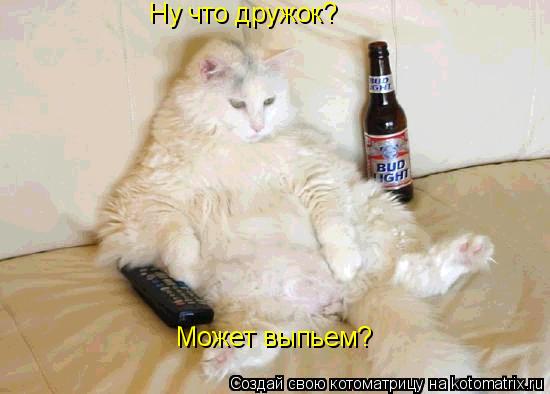 Ну что дружок? Может выпьем?... Котоматрица: Ну что дружок? Может выпьем?