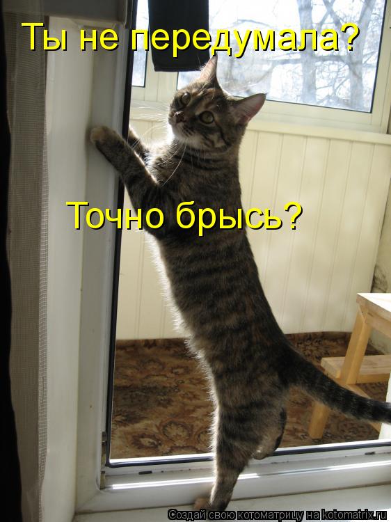 Ты не передумала? Точно брысь?... Котоматрица: Ты не передумала? Точно брысь?