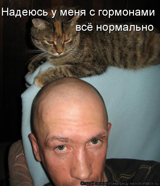 Надеюсь у меня с гормонами всё нормально... Котоматрица: Надеюсь у меня с гормонами всё нормально