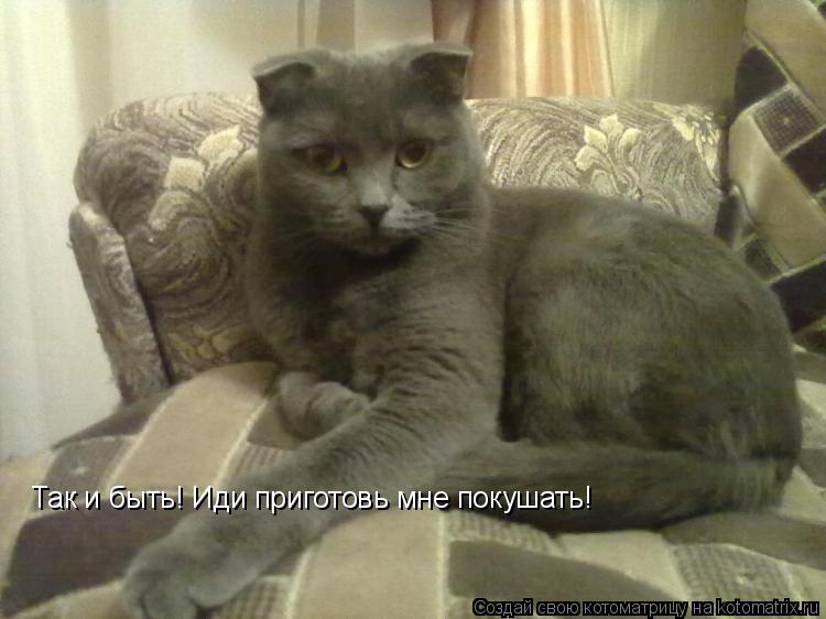 Так и быть! Иди приготовь мне покушать!... Котоматрица: Так и быть! Иди приготовь мне покушать!