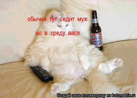 обычно тут седит муж но в среду вася... Котоматрица: обычно тут седит муж но в среду вася