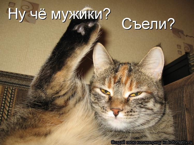 Ну чё мужики? Съели?... Котоматрица: Ну чё мужики? Съели?