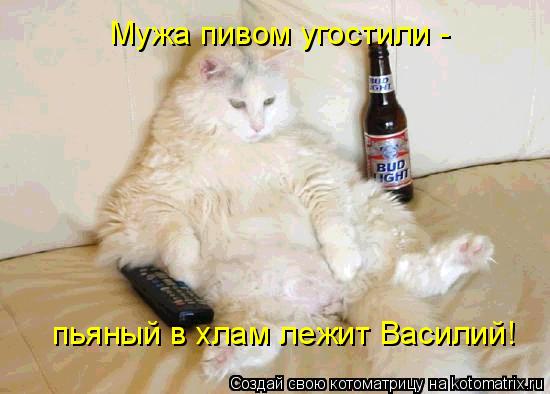 Мужа пивом угостили - пьяный в хлам лежит Василий!... Котоматрица: Мужа пивом угостили - пьяный в хлам лежит Василий!