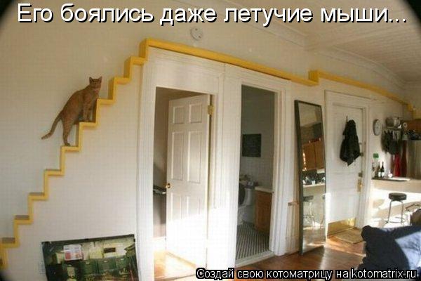 Его боялись даже летучие мыши...... Котоматрица: Его боялись даже летучие мыши...