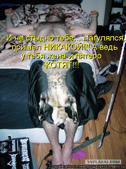- И не стыдно тебе... Нагулялся, пришел НИКАКОЙ!!! А ведь у тебя жена и пятеро КОТЯТ!!!... Котоматрица: - И не стыдно тебе... Нагулялся, пришел НИКАКОЙ!!! А ведь у тебя жена и пятеро КОТЯТ!!!